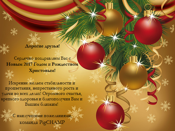 С Новым 2017 Годом и Рождеством Христовым!